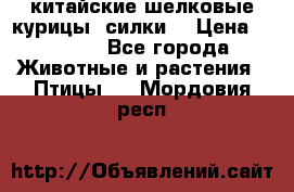 китайские шелковые курицы (силки) › Цена ­ 2 500 - Все города Животные и растения » Птицы   . Мордовия респ.